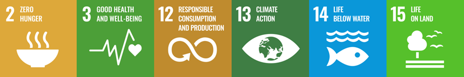Sustainable Meals is contributing to the following United Nations Sustainable Development Goals